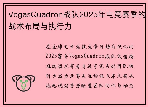 VegasQuadron战队2025年电竞赛季的战术布局与执行力